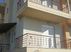 Μεζονέτα, Πεύκα