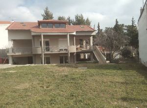 Detached House, Oreokastro