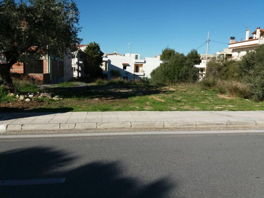 Photo 125787831