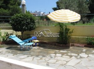 Διαμέρισμα προς πώληση Νέα Φώκαια (Κασσάνδρα) 50 τ.μ.