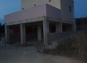 House Skepasti