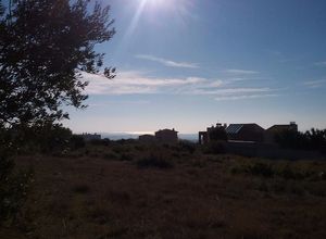 Land Plot, Triglia