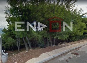Land Plot, Ekali