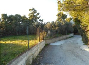 Οικόπεδο προς πώληση Άγιοι Θεόδωροι 1.800 τ.μ.