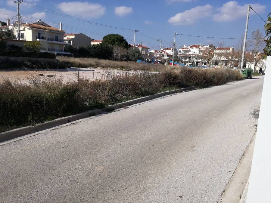 Photo 126832170