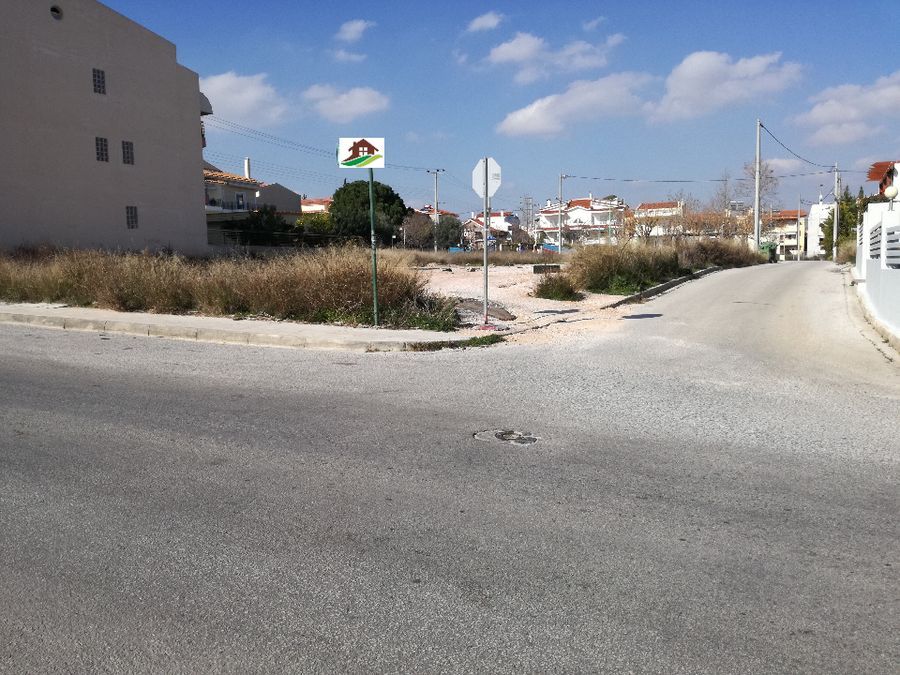 Photo 126833592