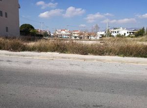 Photo 126833598