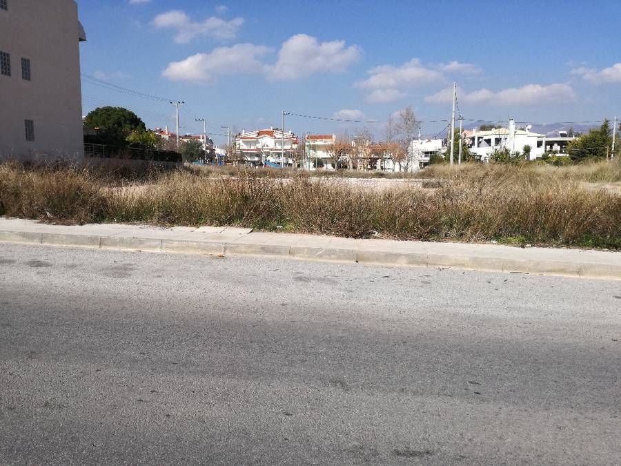 Photo 126833598