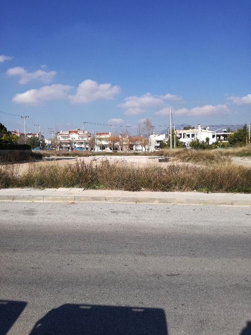 Photo 126833601