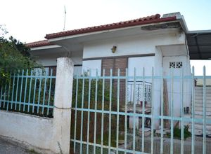Μονοκατοικία προς πώληση Ροδοδάφνη (Αιγιάλεια) 80 τ.μ. 1 Υπνοδωμάτιο