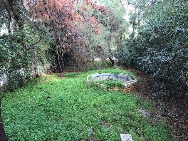 Photo 127138407