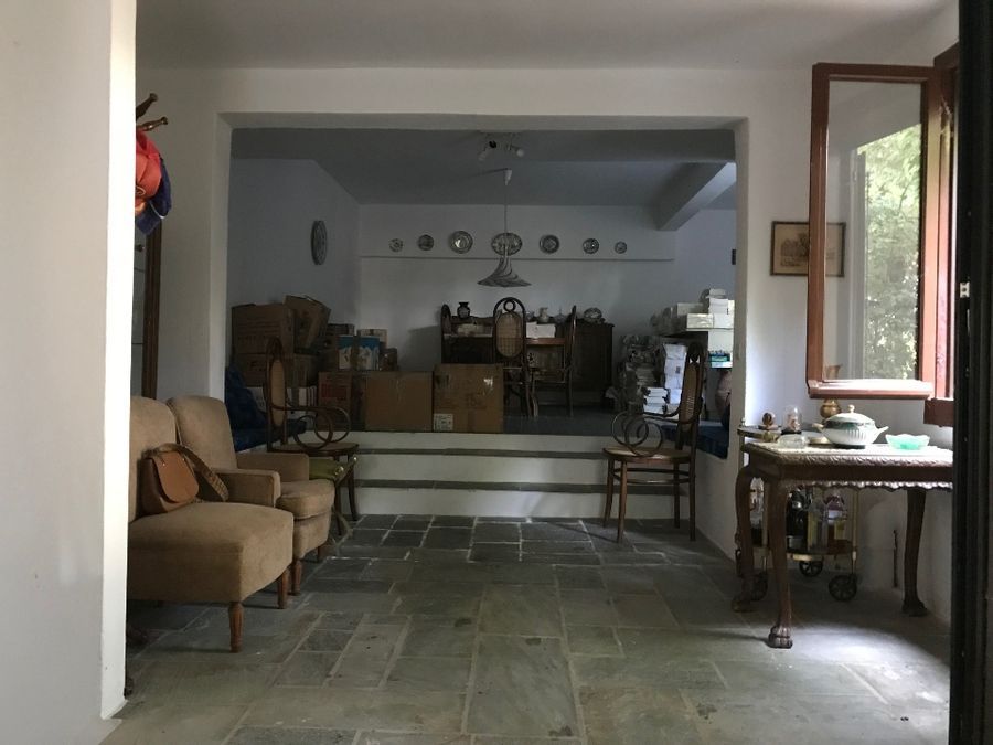 Photo 127138428