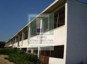 Άλλο επαγγελματικό ακίνητο για ενοικίαση Κέντρο (Μέγαρα) 1.084 τ.μ.