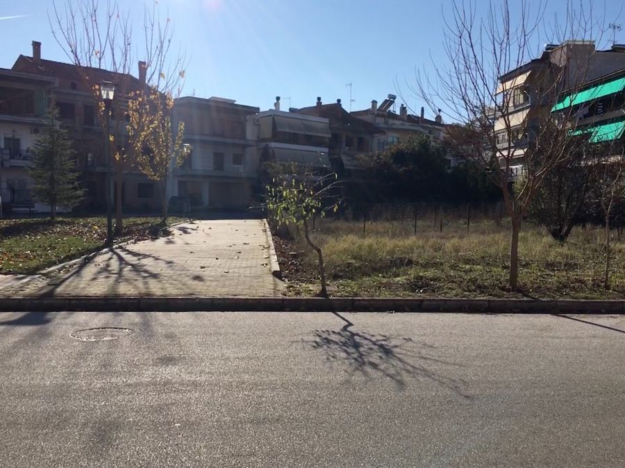 Photo 128250414