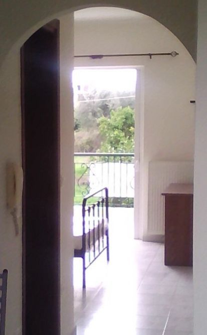 Photo 128335773
