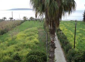 Διαμέρισμα για ενοικίαση Δρέπανο (Ασίνη) 75 τ.μ. 2 Υπνοδωμάτια