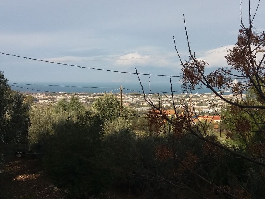 Photo 128904969