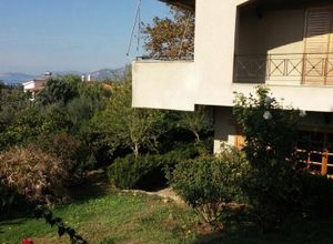 Βίλλα προς πώληση Μονή Οσίου Παταπίου (Λουτράκι-Περαχώρα) 500 τ.μ. 1 Υπνοδωμάτιο