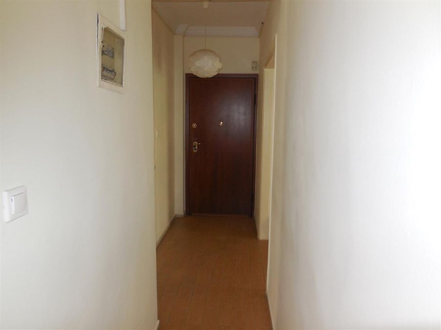 Photo 129176613