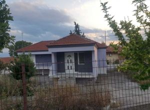Μονοκατοικία προς πώληση Πέλλα 114 τ.μ. 3 Υπνοδωμάτια