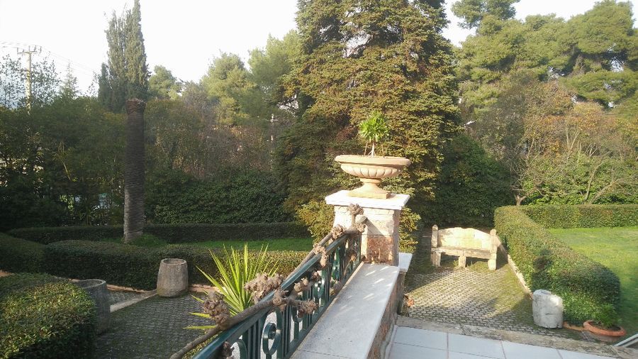 Photo 129473574
