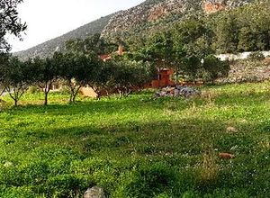 Photo 129564927