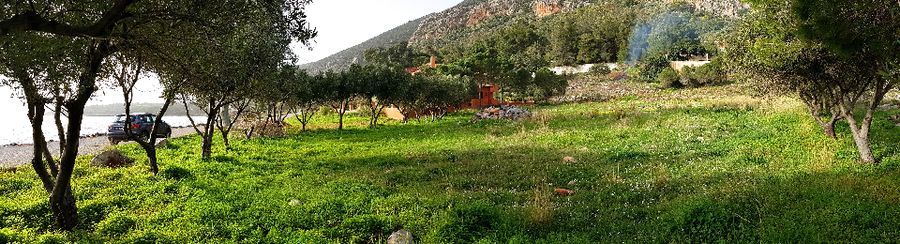 Photo 129564927