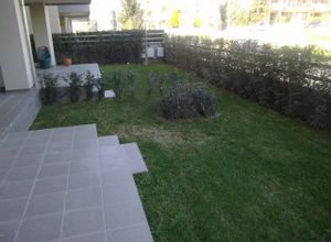 Apartment, Konstantinopolitika