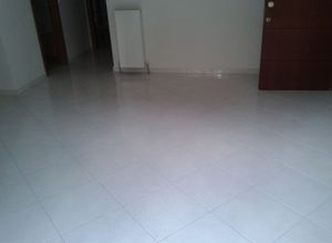 Photo 129967968