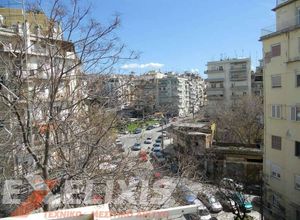 Studio Flat, Dioikitirio
