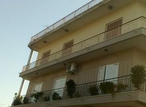 Διαμέρισμα προς πώληση Κέντρο (Γαστούνη) 105 τ.μ. 3 Υπνοδωμάτια