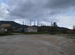 Κτίριο προς πώληση Καλιπάδο (Αρκάδι) 95 τ.μ. 1 Υπνοδωμάτιο