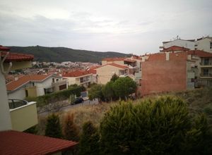 Μεζονέτα, Κέντρο