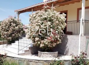 Μονοκατοικία προς πώληση Βασιλικό (Φαρές) 104 τ.μ. 2 Υπνοδωμάτια
