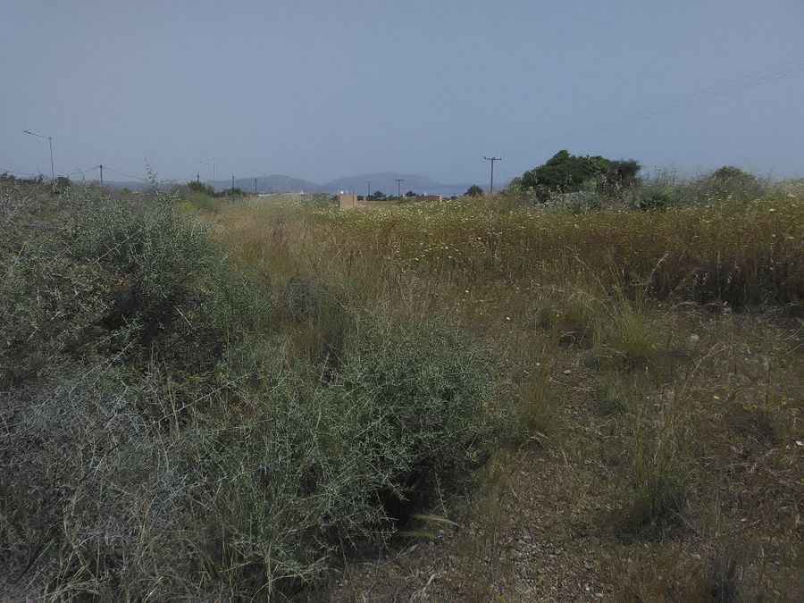 Photo 132015993