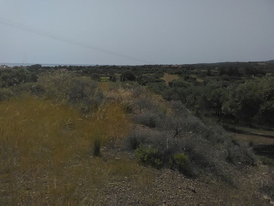 Photo 132015996