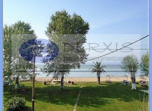 Apartment to rent Flogita (Moudania) 60 m<sup>2</sup> 2 Bedrooms