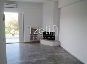 Apartment, Aktaio