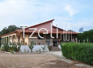 Μονοκατοικία προς πώληση Νιφοραίικα (Δυτικής Αχαΐας) 100 τ.μ. 3 Υπνοδωμάτια