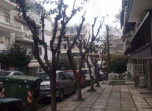 Studio/Γκαρσονιέρα, Διοικητήριο