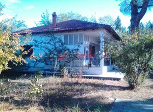 Μονοκατοικία προς πώληση Κέντρο (Χαλκηδόνα) 100 τ.μ. 2 Υπνοδωμάτια