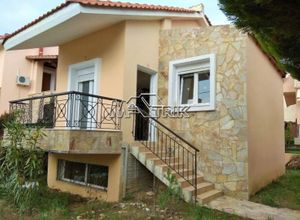 Μονοκατοικία προς πώληση Νικήτη (Σιθωνία) 95 τ.μ. 3 Υπνοδωμάτια