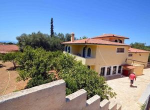 Detached House for sale Vathi (Aegina) 1,600 m<sup>2</sup> 3 Bedrooms