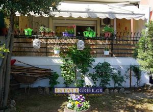 Διαμέρισμα προς πώληση Αμυγδαλεώνας (Φίλιπποι) 70 τ.μ. 2 Υπνοδωμάτια