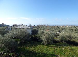 Βίλλα προς πώληση Κορόπη (Μηλιές) 150 τ.μ. 3 Υπνοδωμάτια
