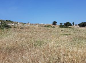 Αγροτεμάχιο προς πώληση Πρόδρομος (Πάρος) 6.200 τ.μ.