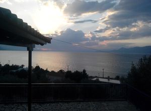 Μονοκατοικία προς πώληση Αρκίτσα (Δαφνούσες) 130 τ.μ. 2 Υπνοδωμάτια