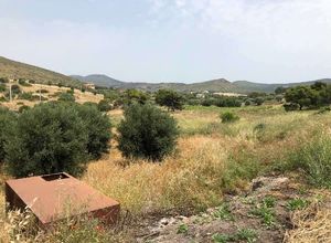 Οικόπεδο προς πώληση Συντερίνα (Κερατέα) 5.044 τ.μ.