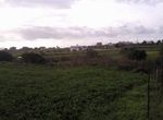 Photo 1342941