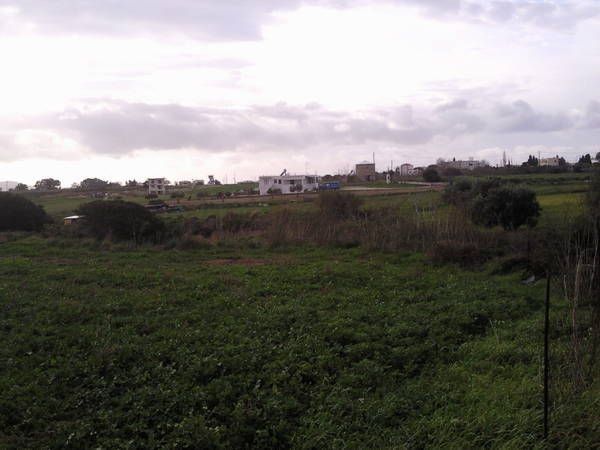 Photo 1342941
